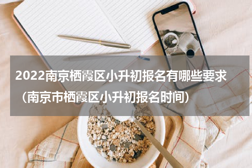 2022南京栖霞区小升初报名有哪些要求（南京市栖霞区小升初报名时间）