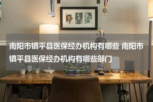 南阳市镇平县医保经办机构有哪些 南阳市镇平县医保经办机构有哪些部门