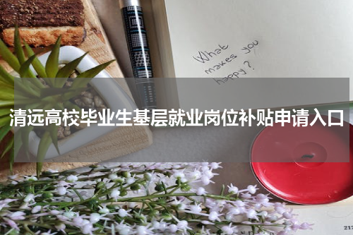 清远高校毕业生基层就业岗位补贴申请入口