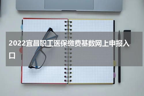 2022宜昌职工医保缴费基数网上申报入口