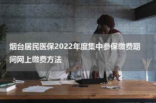 烟台居民医保2022年度集中参保缴费期间网上缴费方法
