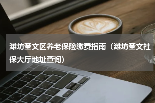 潍坊奎文区养老保险缴费指南(潍坊奎文社保大厅地址查询)