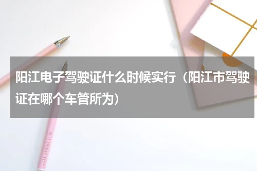 阳江电子驾驶证什么时候实行(阳江市驾驶证在哪个车管所为)