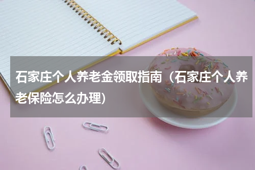 石家庄个人养老金领取指南（石家庄个人养老保险怎么办理）