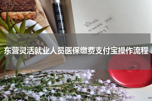 东营灵活就业人员医保缴费支付宝操作流程