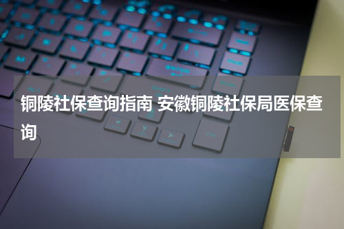 铜陵社保查询指南 安徽铜陵社保局医保查询