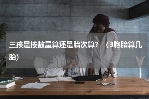 三孩是按数量算还是胎次算？（3胞胎算几胎）