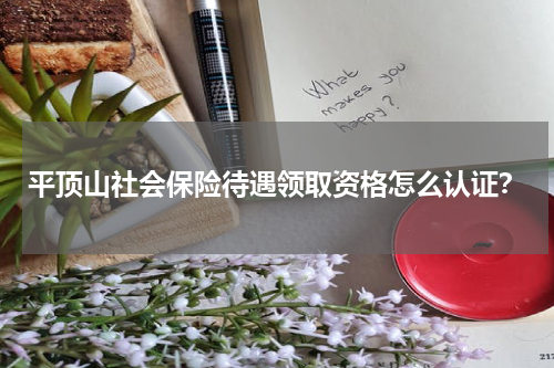 平顶山社会保险待遇领取资格怎么认证？