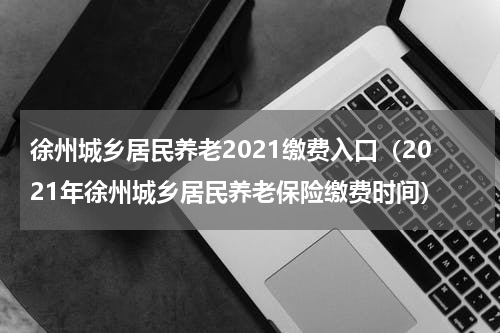徐州城乡居民养老2021缴费入口（2021年徐州城乡居民养老保险缴费时间）