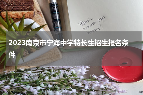 2023南京市宁海中学特长生招生报名条件