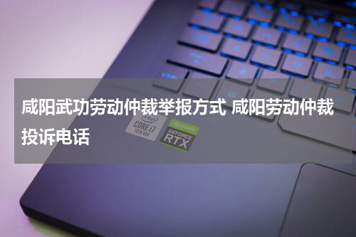 咸阳武功劳动仲裁举报方式 咸阳劳动仲裁投诉电话