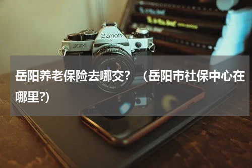 岳阳养老保险去哪交？（岳阳市社保中心在哪里?）