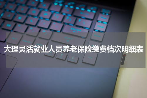 大理灵活就业人员养老保险缴费档次明细表