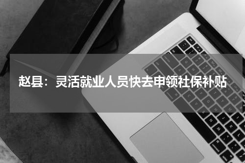 赵县：灵活就业人员快去申领社保补贴