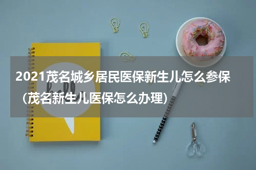 2021茂名城乡居民医保新生儿怎么参保（茂名新生儿医保怎么办理）
