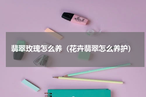 翡翠玫瑰怎么养（花卉翡翠怎么养护）