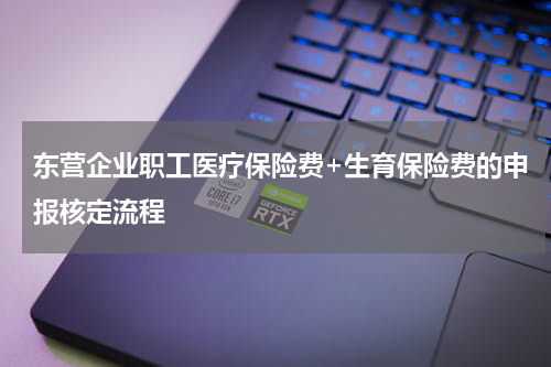 东营企业职工医疗保险费+生育保险费的申报核定流程