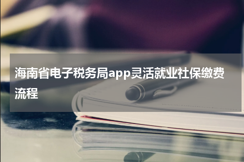 海南省电子税务局app灵活就业社保缴费流程