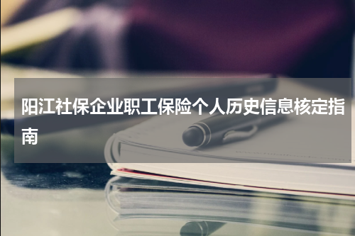 阳江社保企业职工保险个人历史信息核定指南