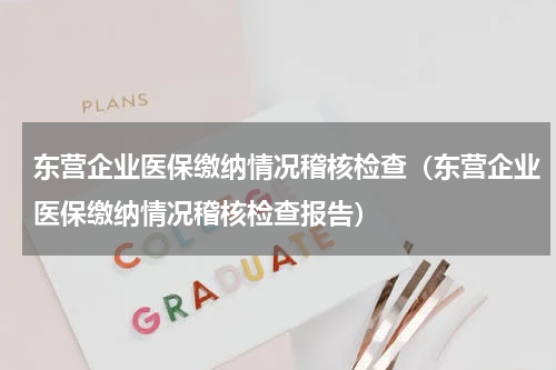 东营企业医保缴纳情况稽核检查（东营企业医保缴纳情况稽核检查报告）
