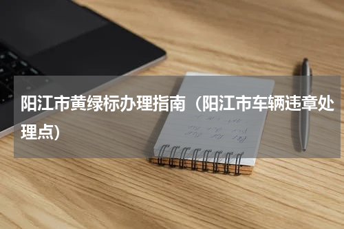 阳江市黄绿标办理指南(阳江市车辆违章处理点)