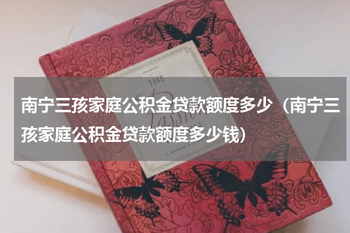 南宁三孩家庭公积金贷款额度多少(南宁三孩家庭公积金贷款额度多少钱)
