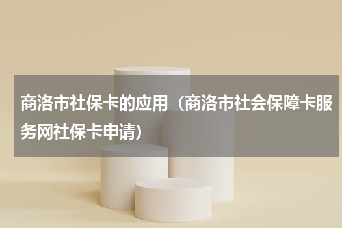 商洛市社保卡的应用(商洛市社会保障卡服务网社保卡申请)