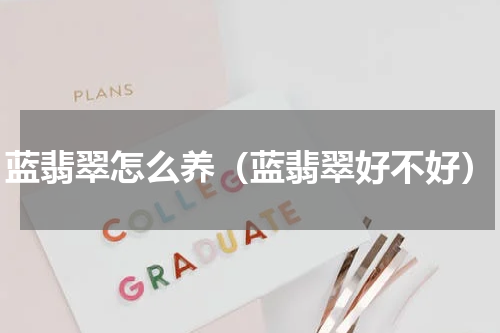 蓝翡翠怎么养（蓝翡翠好不好）