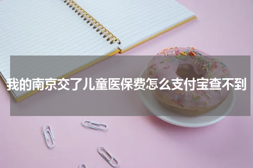 我的南京交了儿童医保费怎么支付宝查不到