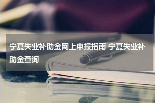 宁夏失业补助金网上申报指南 宁夏失业补助金查询