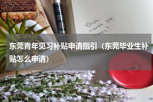 东莞青年见习补贴申请指引（东莞毕业生补贴怎么申请）