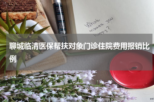 聊城临清医保帮扶对象门诊住院费用报销比例